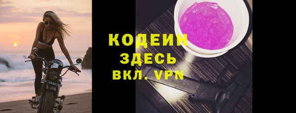 прущие грибы Пестово