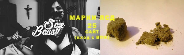 прущие грибы Пестово