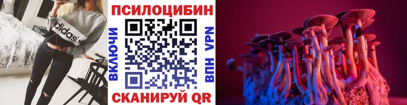 нарко площадка как зайти продажа наркотиков Полярные Зори Псилоцибиновые грибы Psilocybine cubensis