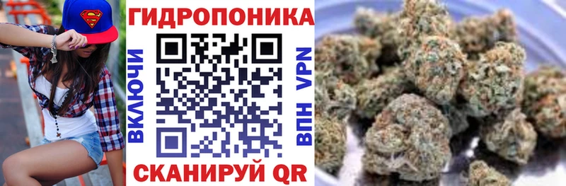 Шишки марихуана планчик  гидра ССЫЛКА  Полярные Зори 